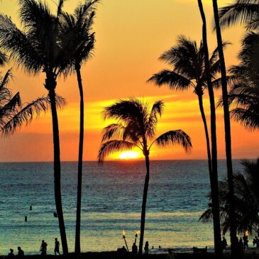 하와이, 환경 보호 기금 마련을 위한 관광객 수수료 제안