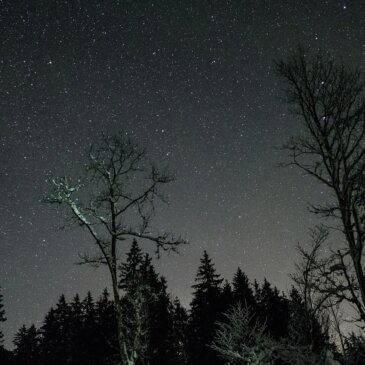 천상의 즐거움: 2월 밤하늘의 별빛 쇼케이스